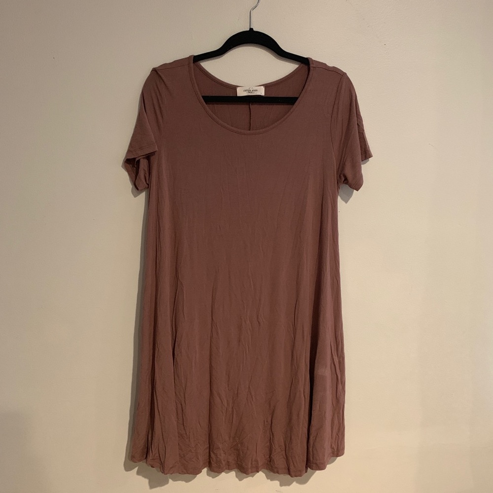 Dusty Rose Carly Jean Los Angeles swing dress